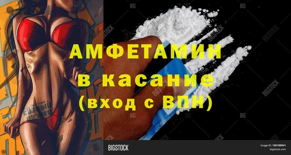 прущие грибы Балабаново