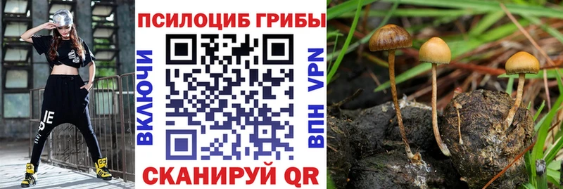 Псилоцибиновые грибы GOLDEN TEACHER  Новоалтайск 